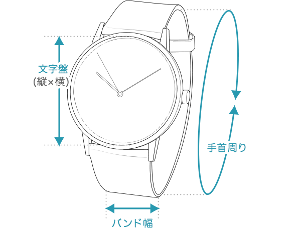 Tokei腕時計のサイズ