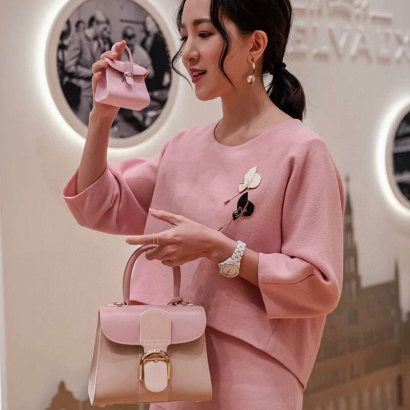 21-22AW【DELVAUX 偽物】カーフスキン ブリヨン ショルダー ハンドバッグ Dec86191高い品質