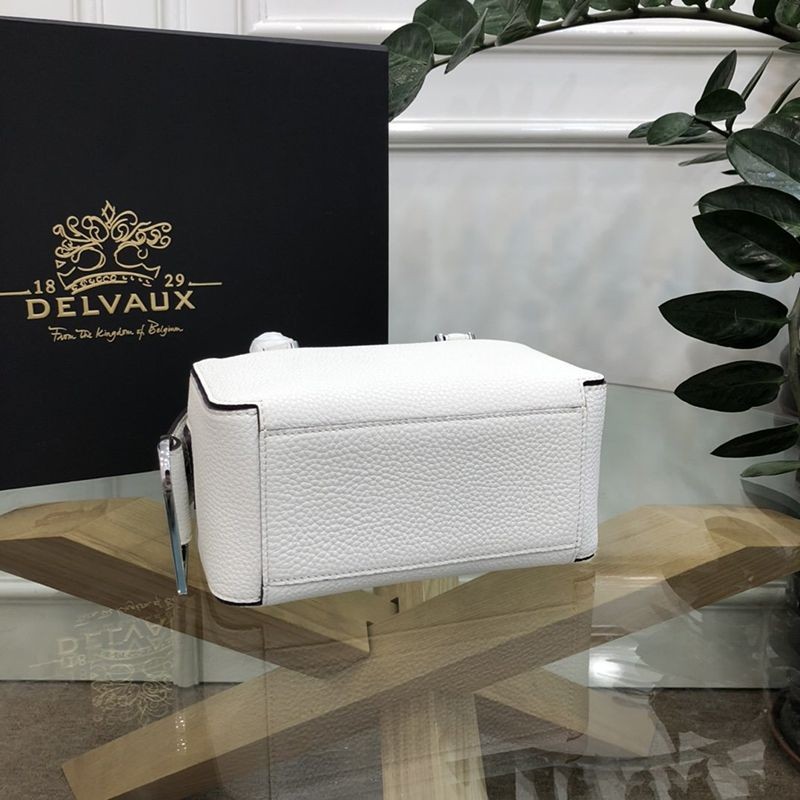 希少色デルボー Cool Box Mini コピー クールボックスミニ バッグ Dei87181高い品質