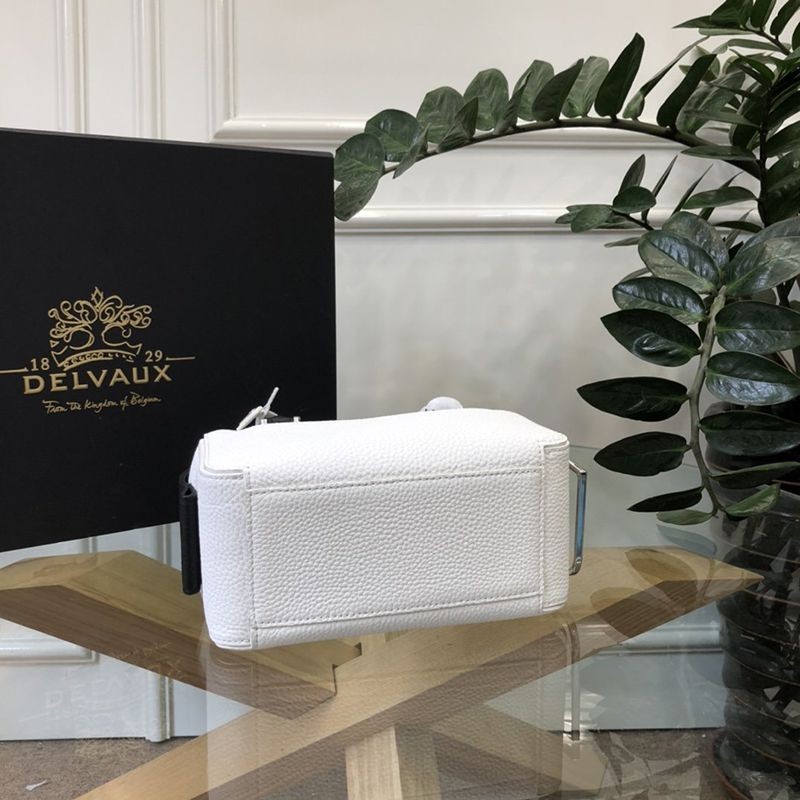 人気No1デルボー スーパーコピー Cool Box Mini クールボックスミニ バッグ Dei87933激安送料無料