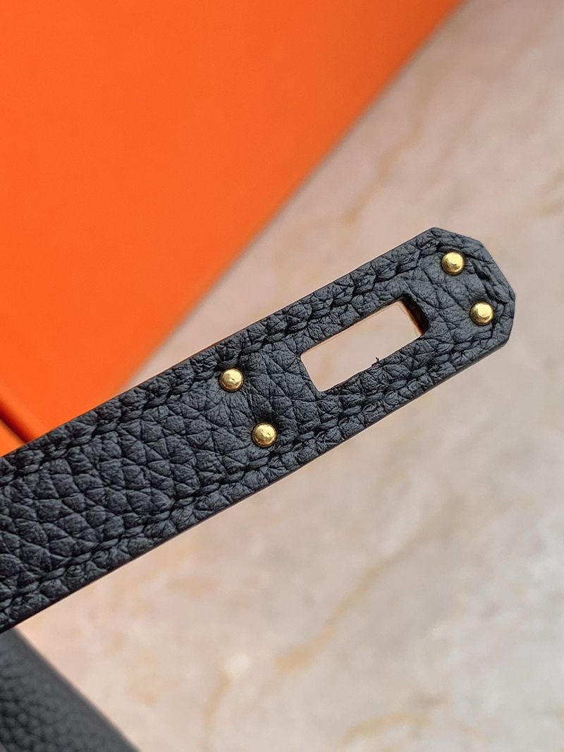 目を惹くカラー エルメス バーキン25 コピートゴ ゴールド金具 ery15789N級品