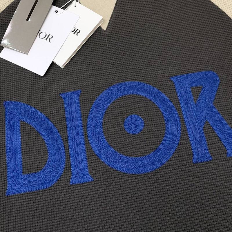 超話題!ディオール ロゴTシャツ コピー カラーブロッキング den15276N級品