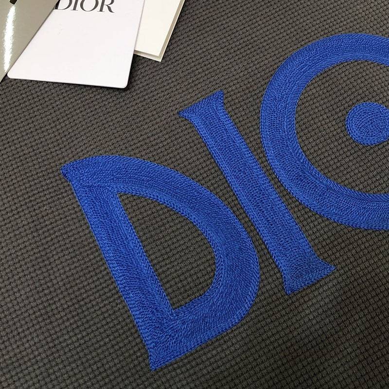 超話題!ディオール ロゴTシャツ コピー カラーブロッキング den15276代引きを販売