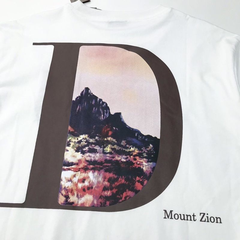 ☆超人気☆ディオール Tシャツ コピー リネン コットンジャージー det96225高い品質