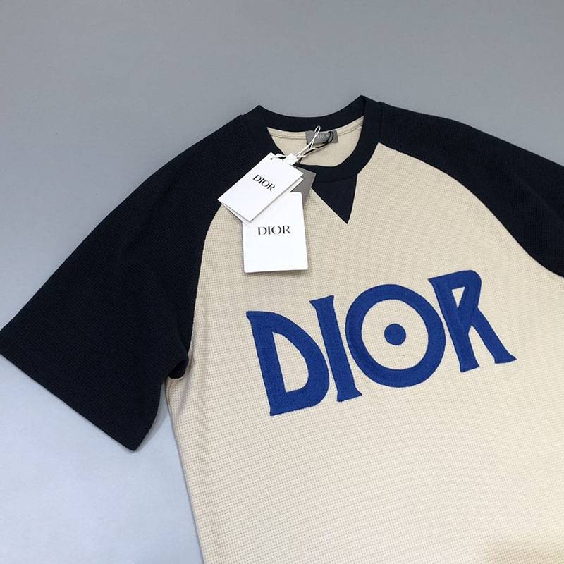 春夏新作ディオール ロゴTシャツ 偽物 カラーブロッキング dex03723最高級