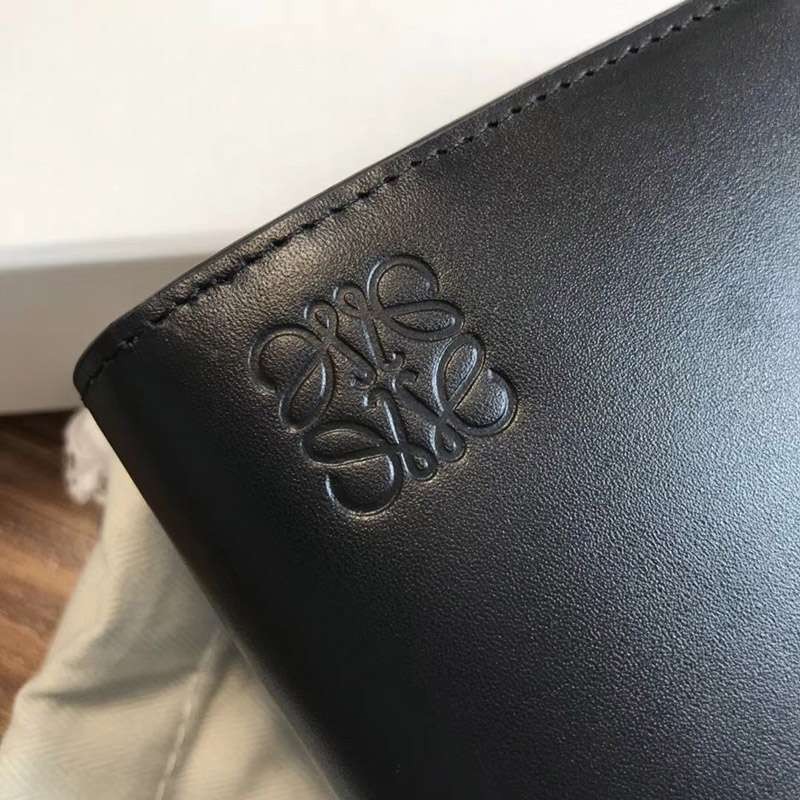 大人気新作 ロエベ  長財布 スーパーコピー loz90859激安送料無料
