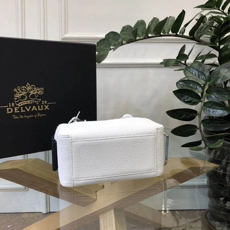 人気No1デルボー スーパーコピー Cool Box Mini クールボックスミニ バッグ Dei87933