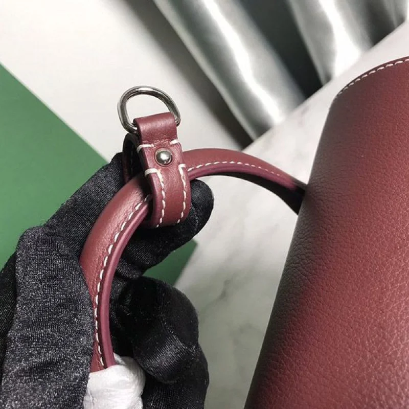 ゴヤール 偽物 アルパン ミニ バックパック Goh56241