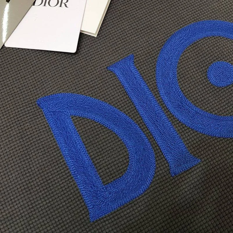 超話題!ディオール ロゴTシャツ コピー カラーブロッキング den15276