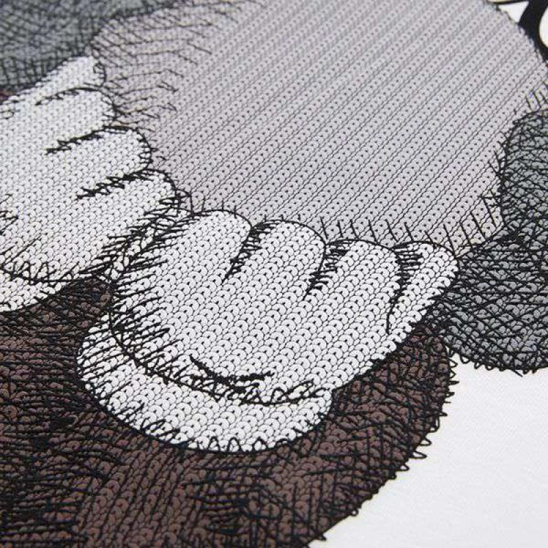 ノースフェイス XX KAWS 偽物 エンブロイダリー コットンTシャツ Nop85537