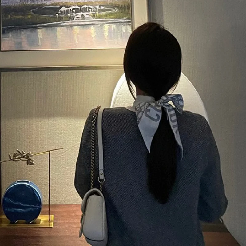 【人気商品】ディオール スカーフ コピー★TOILE OBLIQUE "ミッツァ コピー" dex68773